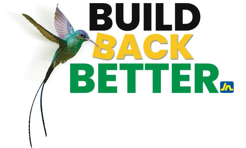 Build Back Better logo
