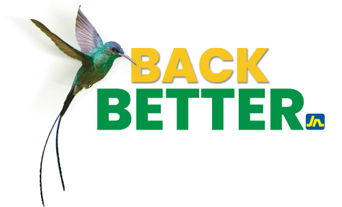 Build Back Better